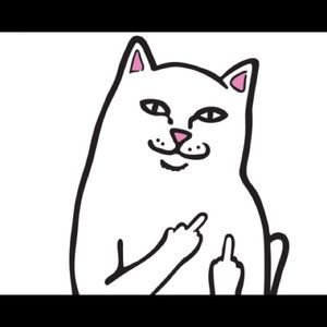 Meet your Posher, Dean